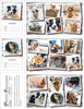 3DCMIX128 - 3 up Reminder Card (3DCMIX128) 3DCMIX128 - 3 up Reminder Card (3DCMIX128)