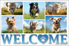 VPCWELCOME8 - Postcard (VPCWELCOME8) VPCWELCOME8 - Postcard (VPCWELCOME8)