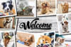 Collage of playful dogs and cats interacting with toys around a large Welcome sign on a rustic wood background.