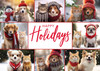 XMS68 - Holiday Card (XMS68) XMS68 - Holiday Card (XMS68)