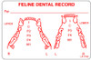 LR-170B - Feline Dental Record LR-170B - Feline Dental Record