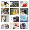 FCAL3P: 13 month Full-Size Calendar  Monthly