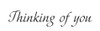 Sympathy message written in an elegant font reading “Thinking of you."