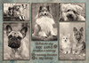 Black-and-white collage of multiple dog portraits including various breeds with a central quote reading “When the dog you love becomes a memory, the memory becomes a treasure.”