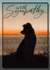 Silhouette of a dog sitting in tall grass at sunset with warm orange light and the words “With Sympathy” in elegant script across the top.