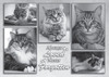 Black-and-white collage of multiple framed cat portraits with the phrase “Always loved, Never forgotten” in decorative lettering, honoring a beloved pet