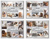 Veterinary reminder cards featuring a collage of dogs and cats with soft gray backgrounds and â€œA Friendly Reminderâ€ text in a clean