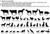 selection of animals and instructions for select an animal reminder card.