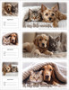 Veterinary reminder card sheet featuring puppies and kittens wrapped in soft blankets with cozy indoor setting and â€œA cozy little reminderâ€ text