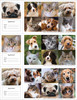 Reminder card sheet featuring close-up pet portrait collage of dogs and cats in a clean, professional grid layout with appointment section