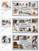 Veterinary reminder card with soft neutral pet photo collage featuring dogs and cats in calm indoor settings and friendly reminder text