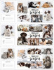 Veterinary reminder card sheet featuring cozy puppy and kitten photos wrapped in blankets with “Snuggle Season” text and soft seasonal collage layout