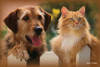 Terrier-style dog and long-haired orange cat standing behind a white picket fence with a blurred garden background.