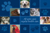 Blue paw print design featuring a dog, cat, guinea pig, ferret, parrot, and bulldog with the message "All pets need regular health care."