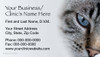 Veterinary business card featuring a close-up photograph of a cat with a blue eye and contact information on a light gray background.

