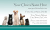 Veterinary business card with a group of dogs and cats, light blue gradient background, teal bottom border, and contact information layout.

