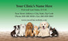 Veterinary business card featuring six dogs and cats on a paw print background with a green gradient backdrop and centered contact information.

