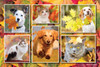 Collage of dogs and cats surrounded by colorful autumn leaves in shades of orange, red, yellow, and green.