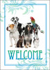 WELCOME5 - Welcome Card