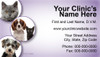 Veterinary business card featuring four pet portraits in purple circular frames on a lavender background with clinic contact information.

