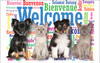 Puppies and kittens in front of a colorful Welcome background featuring multiple languages and paw print accents.