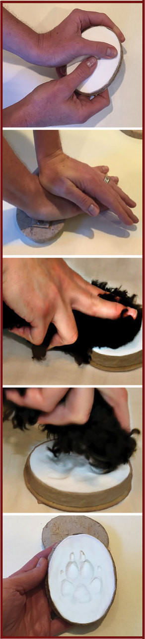  "How To" for Impression kits showing step by step in images.