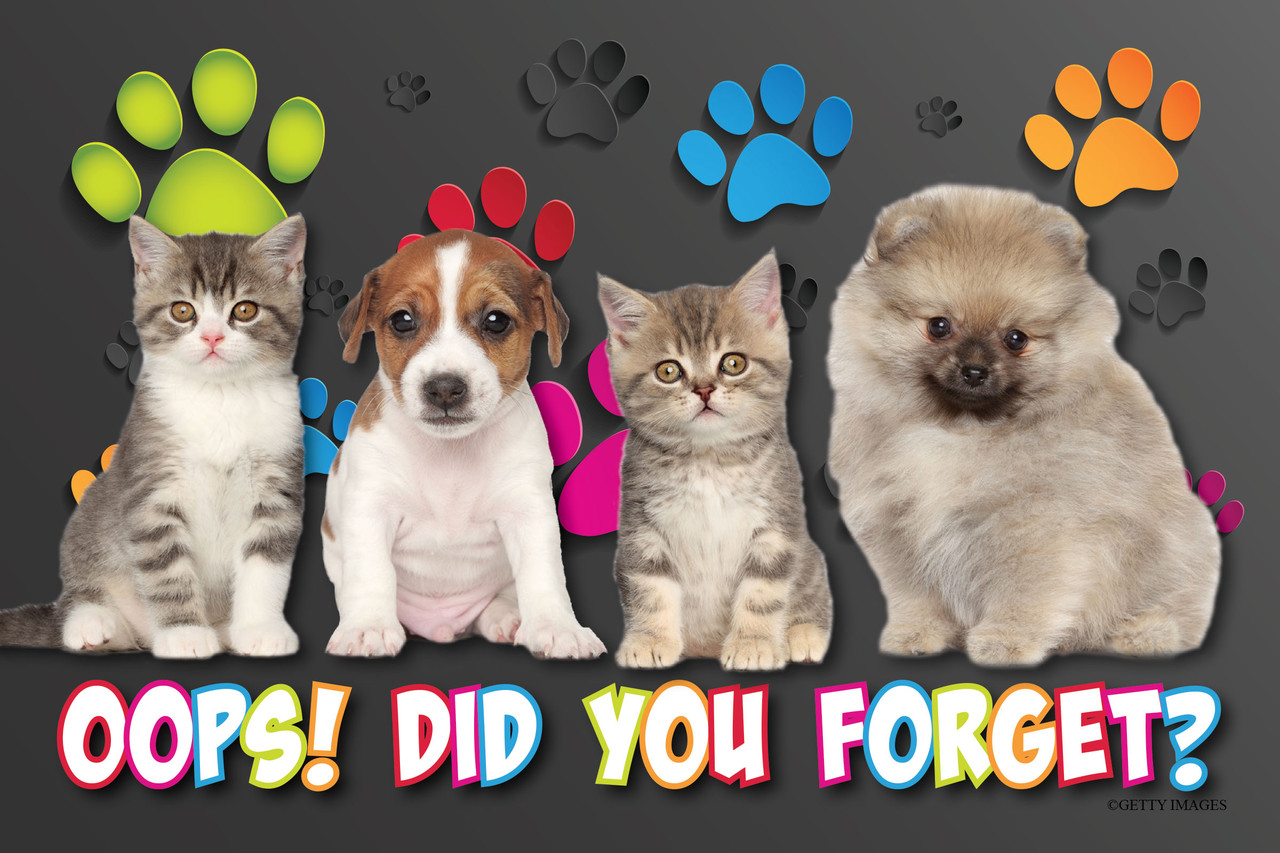 Puppies and kittens with colorful paw prints and the message "Oops! Did You Forget?" on a dark gray background.