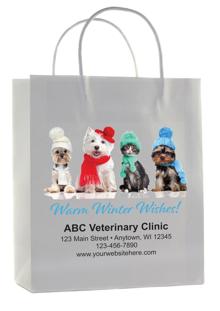 FCHSD26 - Personalized Handled Paper Bag (Multiple Imprint Colors Available)