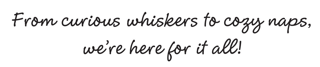 The Welcome verse is “From curious whiskers to cozy naps, we’re here for it all!” in a handwritten-style font.