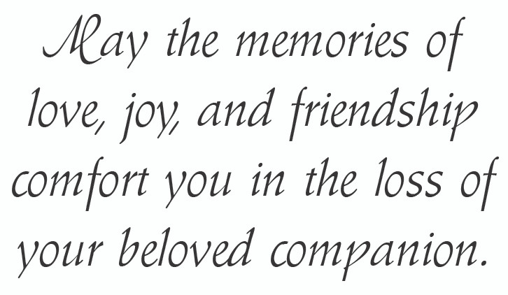 SYMDOG26 - Sympathy Card