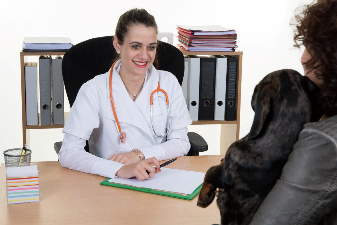 Client-Centered Care: Enhancing Customer Service through Veterinary Practice Management