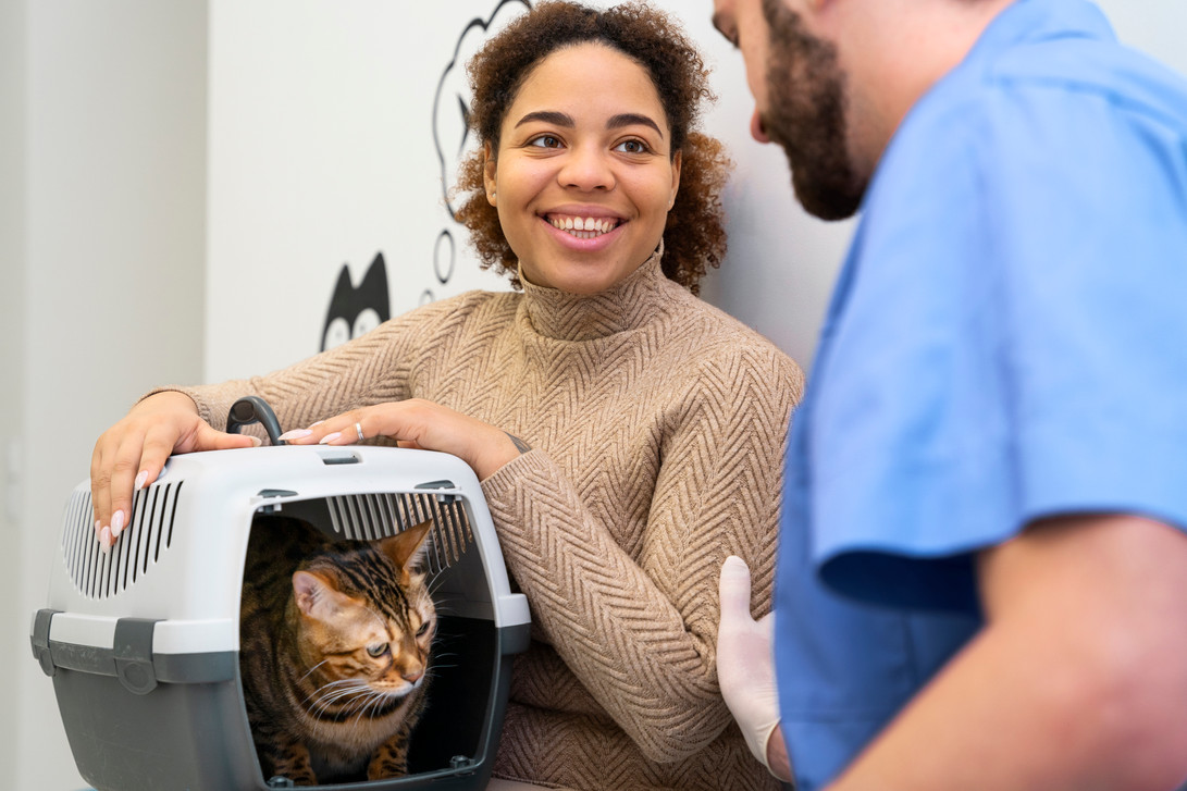 Elevating After-Procedure Care in Veterinary Clinics 