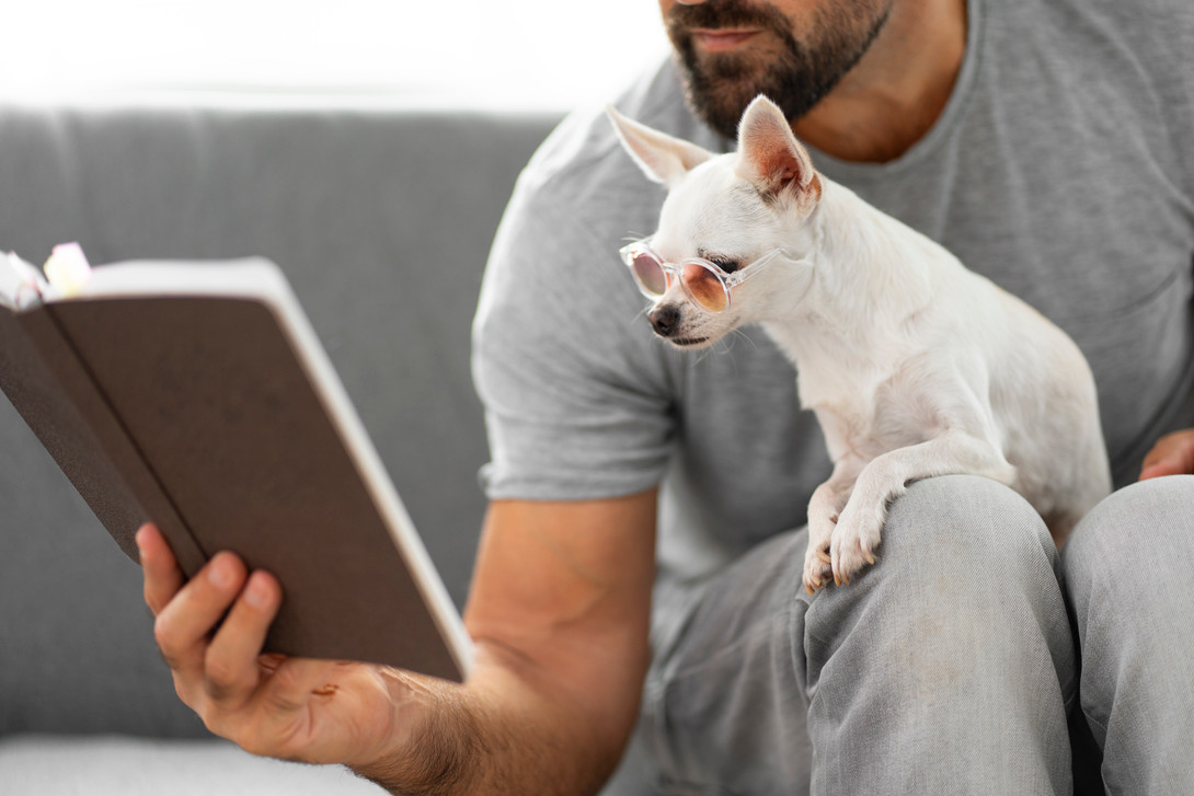 Why Seasonal Pet Safety Guides Are a Game-Changer for Veterinary Clinics 
