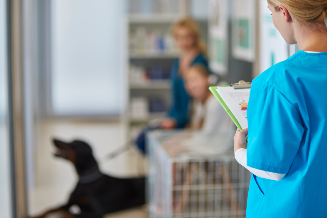 How Custom Veterinary Clinic Supplies Save Staff Time
