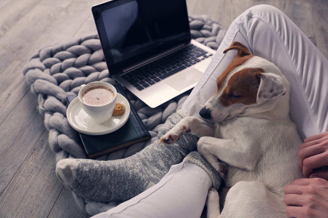 Where Does Telehealth Fit into Modern Pet Care?