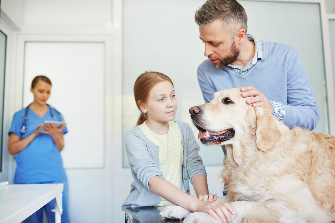 Tips for Creating a Family Friendly Veterinary Practice 