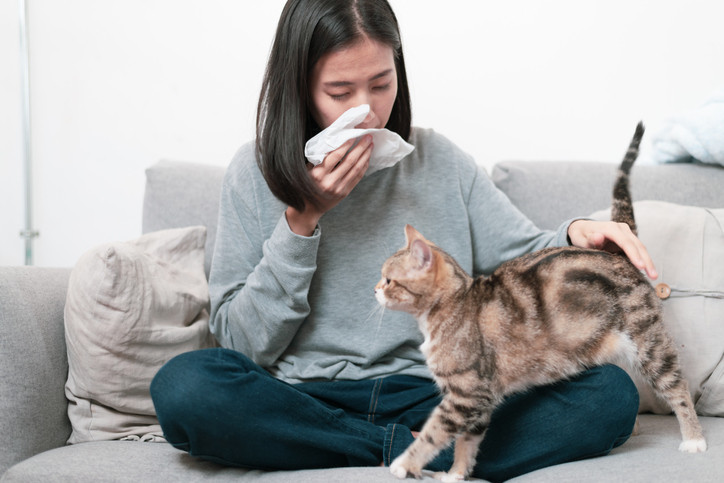 Helping Clients Deal with Pets Suffering from Allergies
