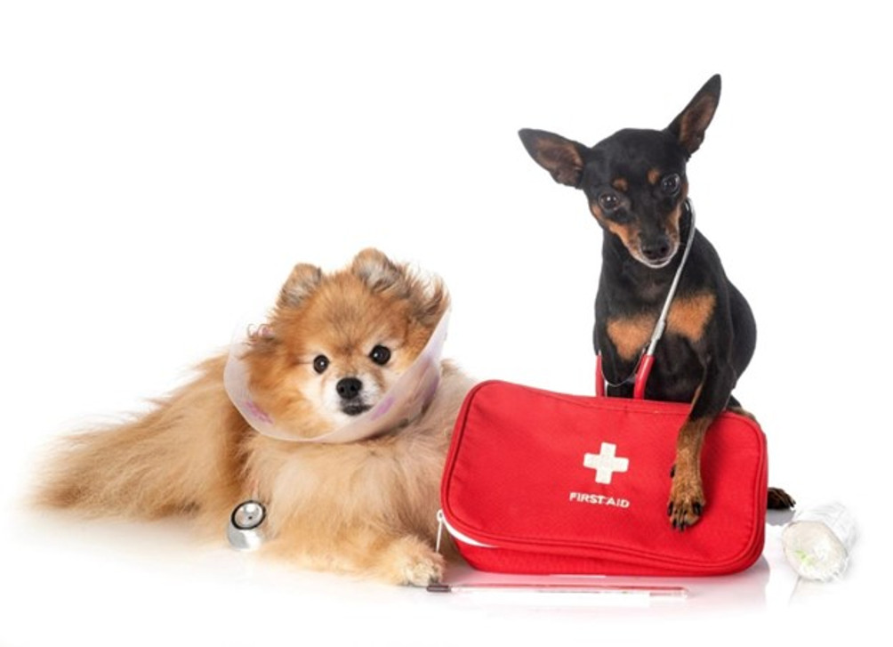 Branding Safety: Elevate Your Veterinary Practice with Custom Pet First Aid Kits