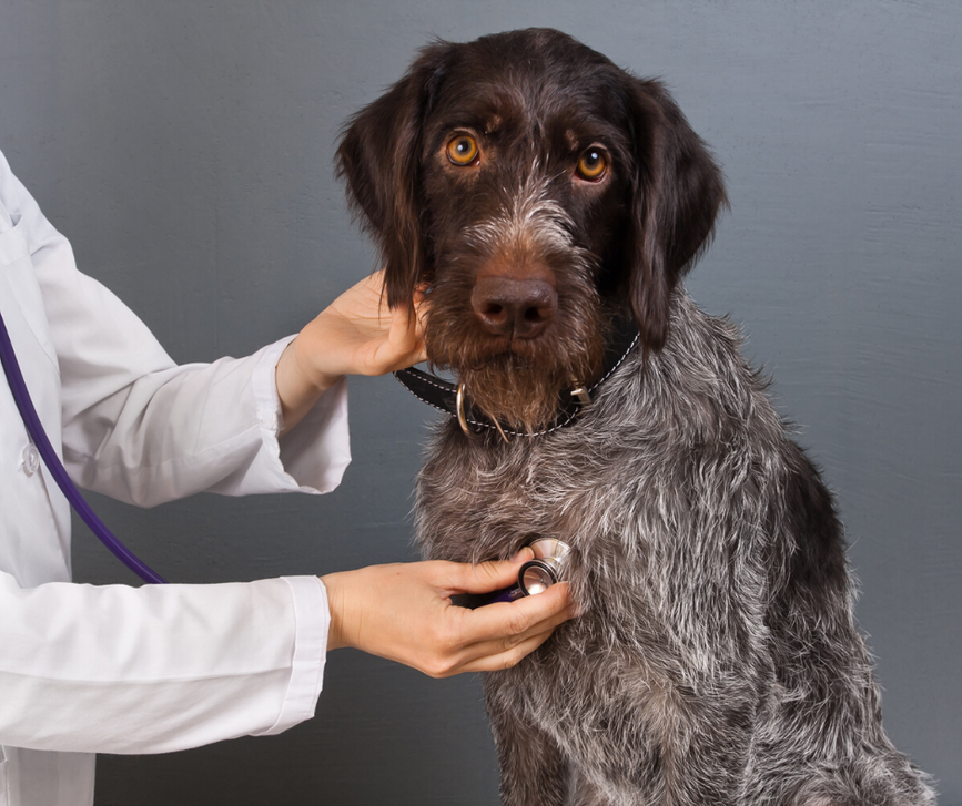 Strategies to Improve Your Marketing: What are Clients Looking For? 