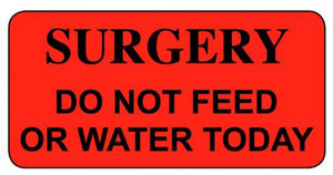 Red veterinary cage sticker with black text reading "SURGERY DO NOT FEED OR WATER TODAY" in stacked layout
