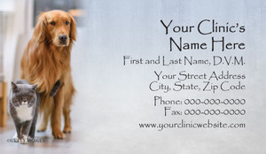 Veterinary business card featuring a golden retriever and gray cat beside a silver-gray panel containing clinic contact information.


