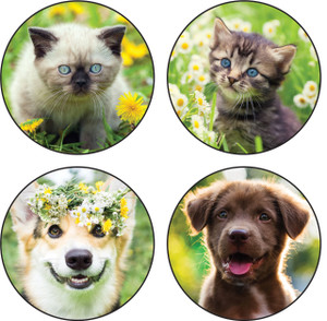 KSDC2 - Kid Stickers KSDC2 - Kid Stickers