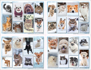 4DCMIX48 - 4 Up Reminder Cards