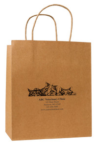 HSD41 - Personalized Handled Paper Bag (Multiple Imprint Colors Available)