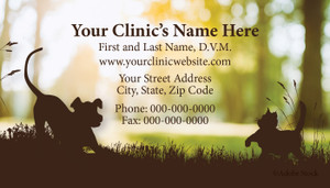 VBCSTD148-Standard, Appointment Backed, or Magnetic Business Card