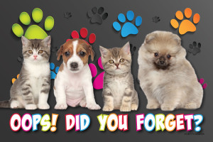 Puppies and kittens with colorful paw prints and the message "Oops! Did You Forget?" on a dark gray background.