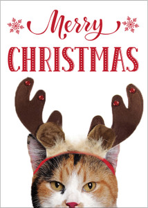 XMS50 - Holiday Card