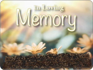 VMSL2 - Memorial Loose Seed Packs with seeds