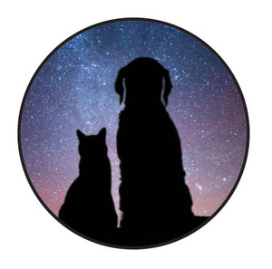  Round veterinary sticker featuring black dog and cat silhouettes against a blue and purple starry sky background.