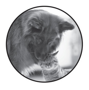 
  Round veterinary sticker featuring a black-and-white photo of a dog and cat inside a black circular border.